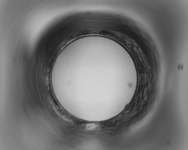 X0000111780050200908131358
