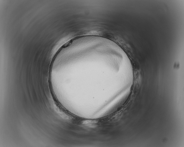 X0000111780051200908131358