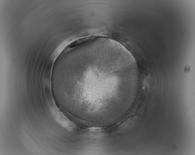 X0000111780052200908131358