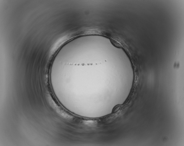 X0000111780053200908131358