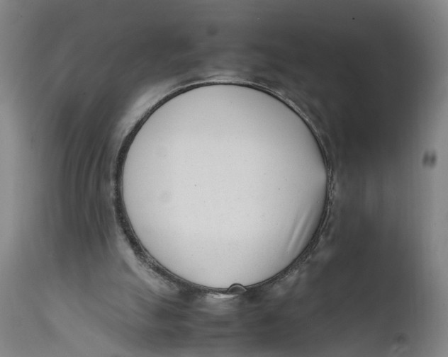 X0000111780055200908131358