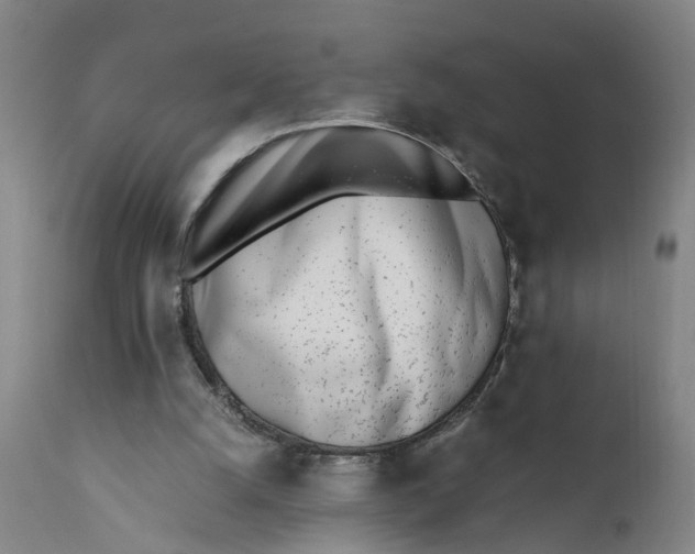 X0000111780056200908131358