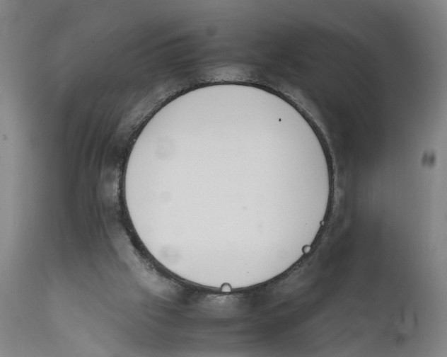 X0000111780057200908131358