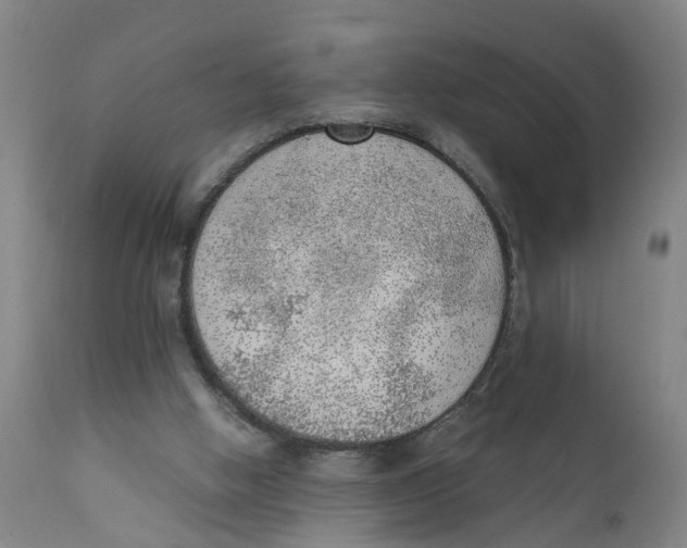 X0000111780058200908131358