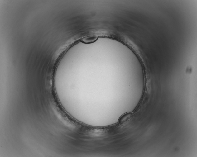 X0000111780059200908131358
