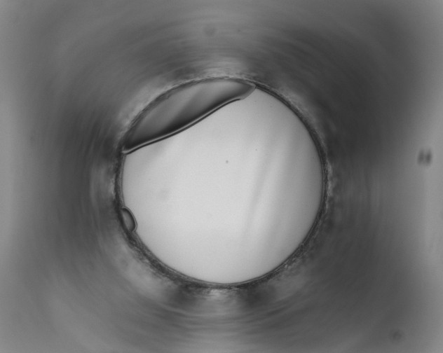 X0000111780060200908131358