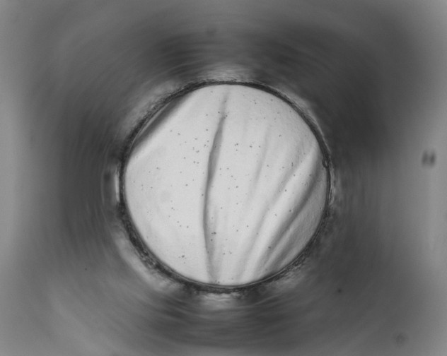 X0000111780061200908131358