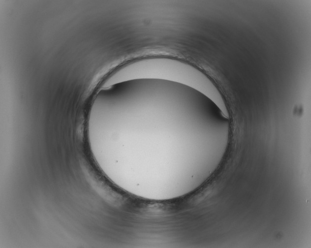 X0000111780064200908131358