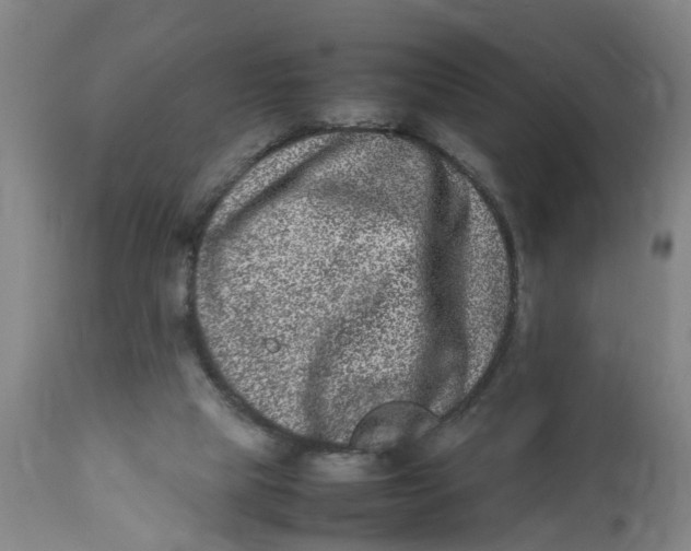 X0000111780065200908131358