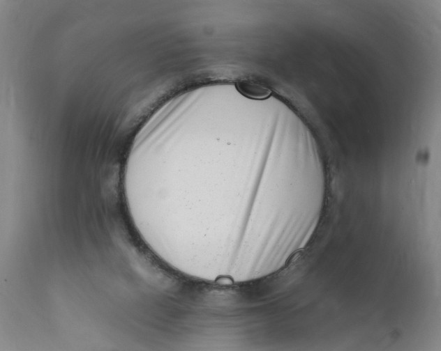 X0000111780066200908131358