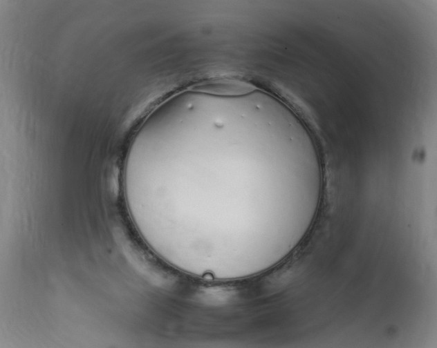 X0000111780067200908131358
