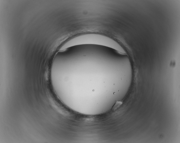 X0000111780068200908131358