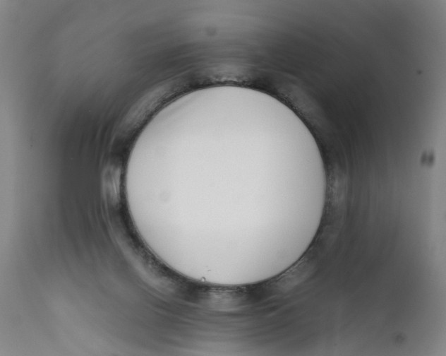 X0000111780070200908131358