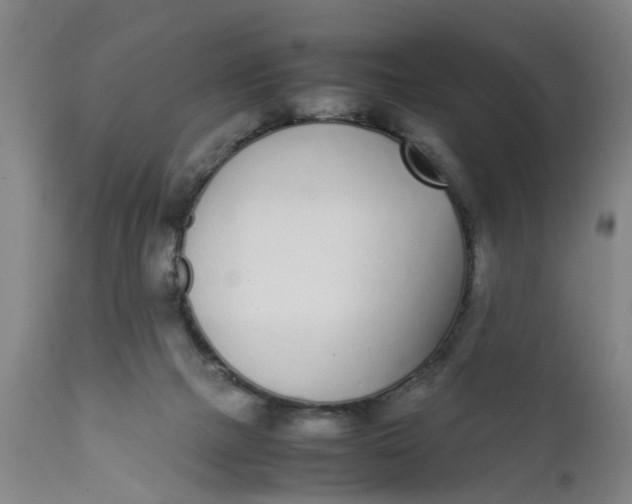 X0000111780073200908131358