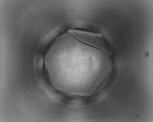 X0000111780076200908131358