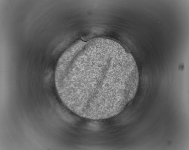 X0000111780079200908131358