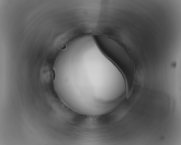 X0000111780080200908131358