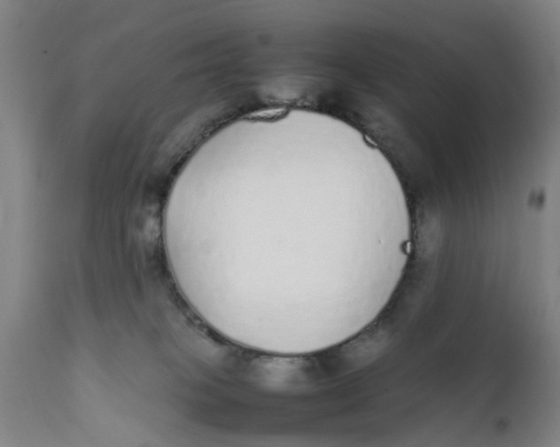 X0000111780085200908131358