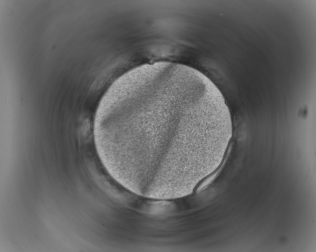 X0000111780087200908131358