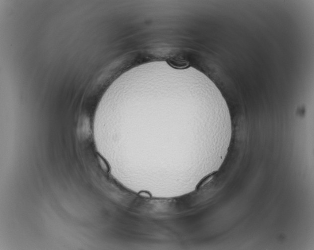 X0000111780089200908131358