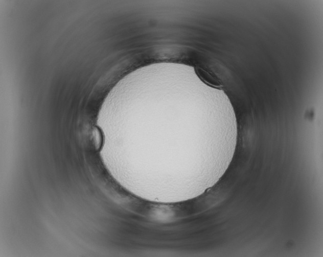 X0000111780091200908131358