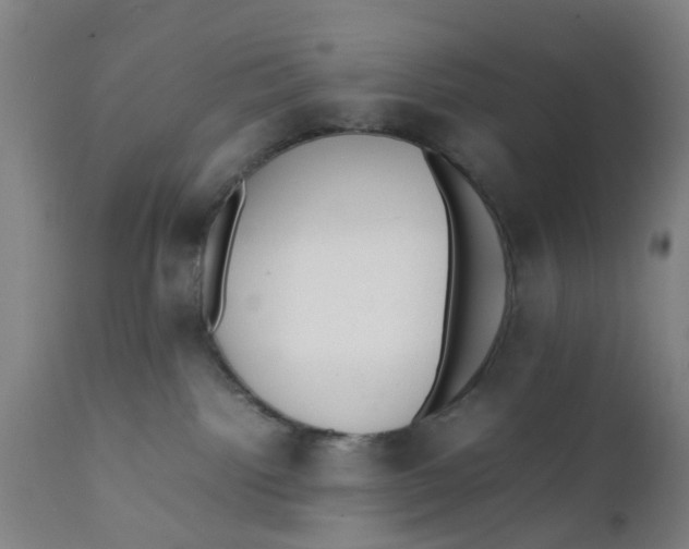 X0000111780092200908131358