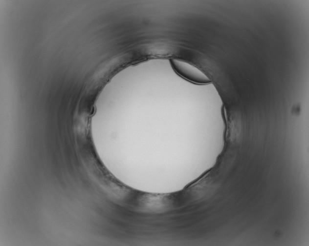 X0000111780093200908131358