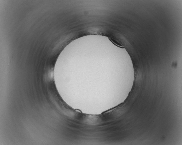 X0000111780095200908131358