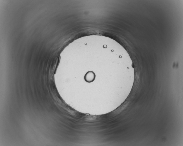 X0000111780096200908131359