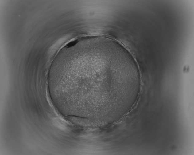 X0000111780097200908131358