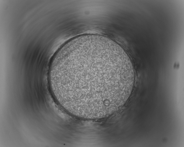 X0000111780098200908131358