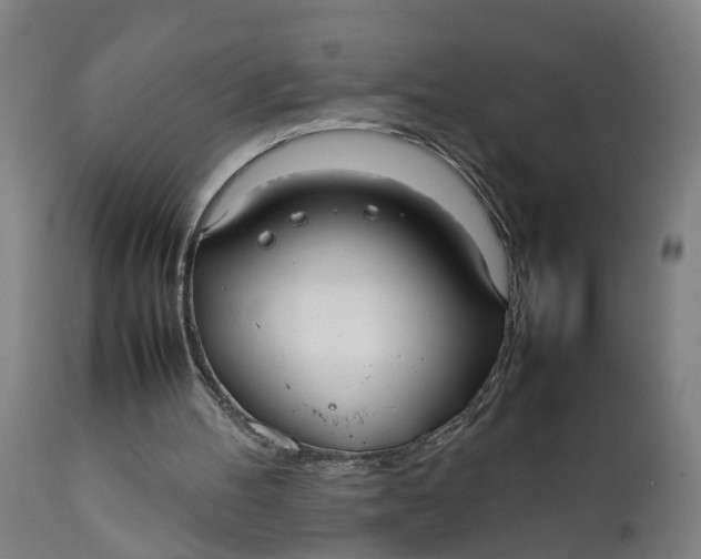 X0000111780100200908131358