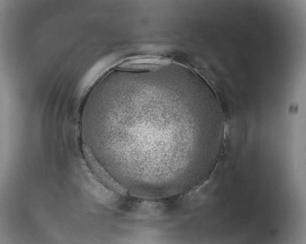 X0000111780101200908131358