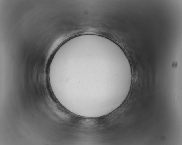 X0000111780102200908131358