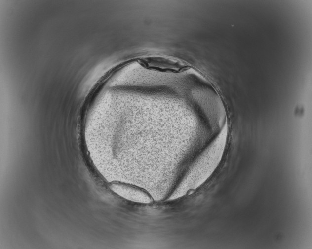 X0000111780103200908131358