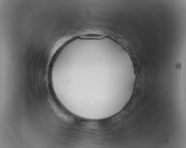 X0000111780104200908131358