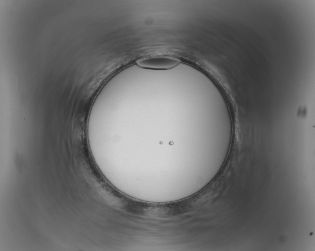 X0000111780105200908131358