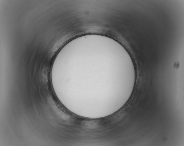 X0000111780106200908131358