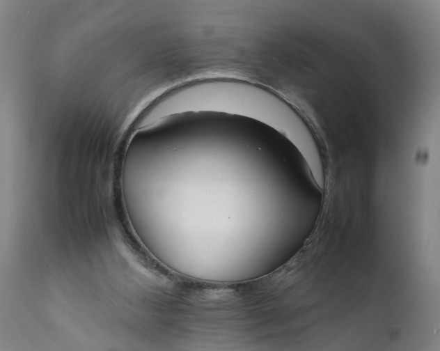 X0000111780108200908131358