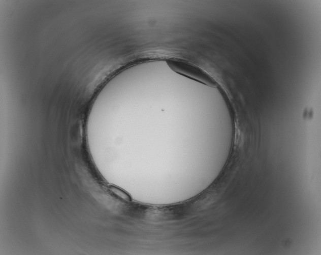 X0000111780109200908131358