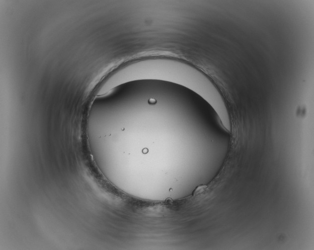 X0000111780112200908131358