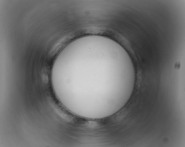 X0000111780114200908131358