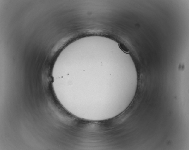 X0000111780116200908131358