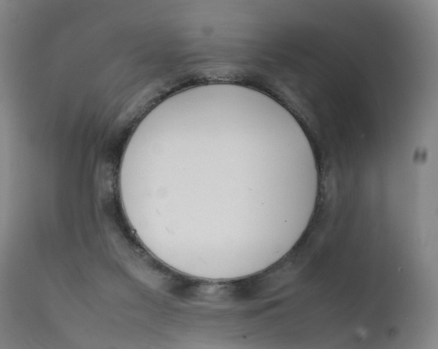 X0000111780117200908131358