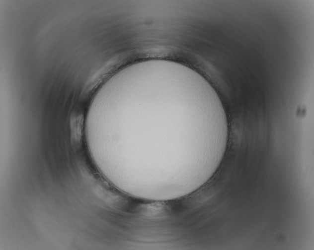 X0000111780118200908131358