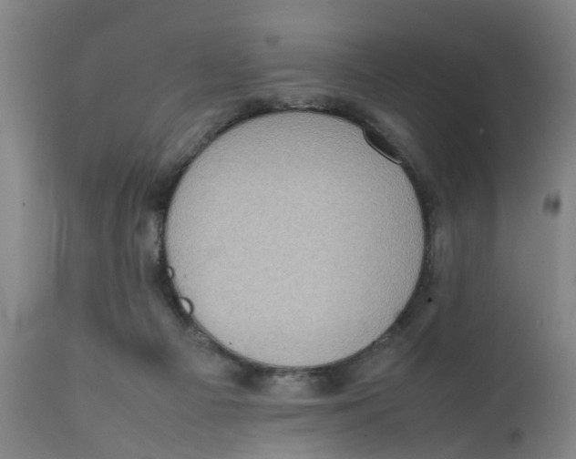 X0000111780121200908131358