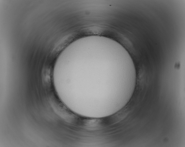 X0000111780122200908131358