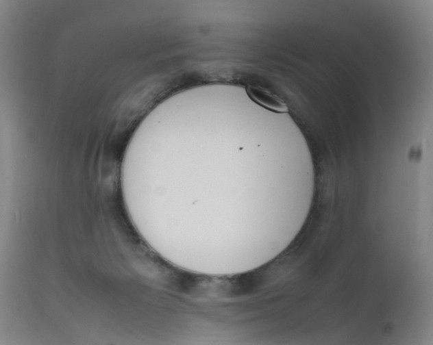 X0000111780125200908131357