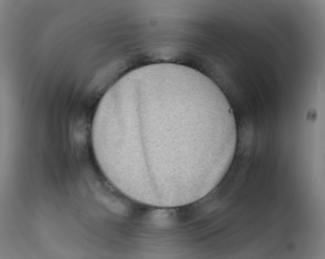 X0000111780126200908131357