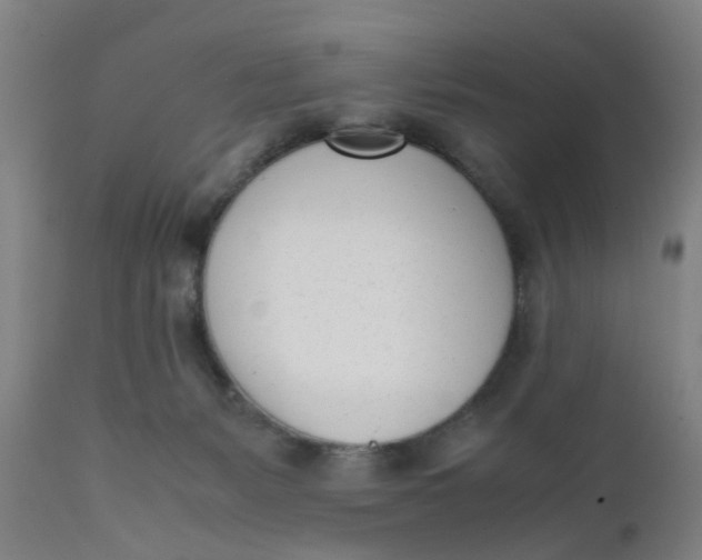 X0000111780127200908131357